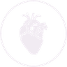 Picture of realistic heart within a circle